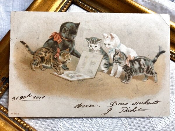 画像1: Postcard  　絵本を読む猫たち　フランス1902年　Helena Maguire (1)