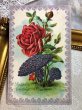 画像2: Postcard　アンティークポストカード　薔薇のお花とスミレのお花のキノコ (2)