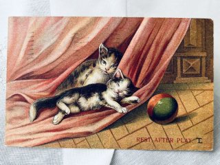 Snowdrop Postcards アンティークポストカード専門店 【猫 イラスト】