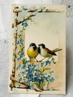 Snowdrop Postcards アンティークポストカード専門店 < Swallow and other birds >