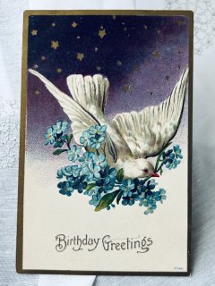 Snowdrop Postcards アンティークポストカード専門店 < Swallow and other birds >