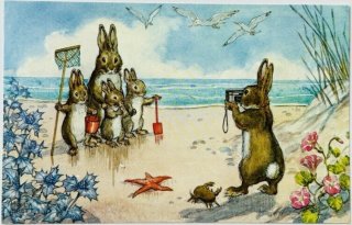 Snowdrop Postcards アンティークポストカード専門店 < Woodland Animals >