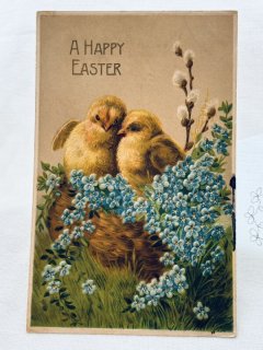 Snowdrop Postcards アンティークポストカード専門店 u003c Chick Chicken Duck u003e