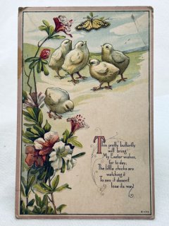 Snowdrop Postcards アンティークポストカード専門店 u003c Chick Chicken Duck u003e