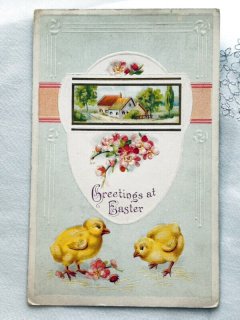 Snowdrop Postcards アンティークポストカード専門店 u003c Chick Chicken Duck u003e