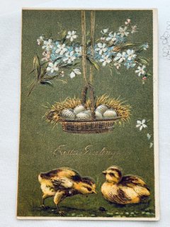 Snowdrop Postcards アンティークポストカード専門店 u003c Chick Chicken Duck u003e