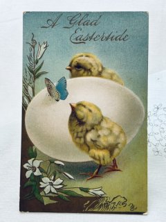 Snowdrop Postcards アンティークポストカード専門店 u003c Chick Chicken Duck u003e