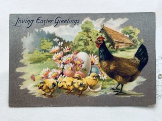 Snowdrop Postcards アンティークポストカード専門店 < Chick Chicken Duck >