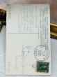 画像3: Postcard　アンティークポストカード　イースター 　3羽のヒヨコ　アメリカ1908年 (3)