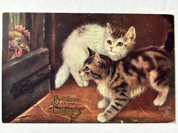 画像1: Postcard  　アンティークポストカード　ニワトリと子猫　カナダ1909年 (1)