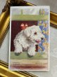 画像2: Postcard  　アンティークポストカード　窓から顔を出す白い犬　テリア　Florence E Valtar  (2)