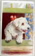 画像1: Postcard  　アンティークポストカード　窓から顔を出す白い犬　テリア　Florence E Valtar  (1)