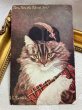 画像2: Postcard  　アンティークポストカード　子豚を抱く猫　Tom,Tom the Piper's son マザーグース　G.L.Barnes (2)