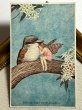 画像2: Postcard　アンティークポストカード　ワライカワセミと妖精の女の子　Ida Rentoul Outhwaite (2)