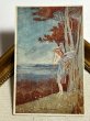 画像2: Postcard　アンティークポストカード　遠くを見つめる妖精　The Fairy Beauty　Ida Rentoul Outhwaite (2)