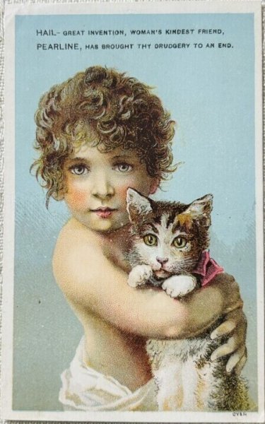 画像1: Vintage trade card  アンティークトレードカード　猫を抱く女の子　James Pyle, New York (1)