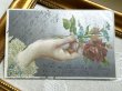 画像2: Postcard 　アンティークポストカード　お花と手　薔薇　忘れな草 (2)