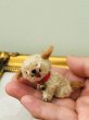 画像4: Vintage style Handmade miniature toy ハンドメイド　アンティーク風ミニチュアトイ　タビー犬　薄茶　Tubby Dog (4)