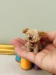 画像5: Vintage style Handmade miniature toy ハンドメイド　アンティーク風ミニチュアトイ　タビー犬　薄茶　Tubby Dog (5)