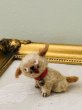 画像3: Vintage style Handmade miniature toy ハンドメイド　アンティーク風ミニチュアトイ　タビー犬　薄茶　Tubby Dog (3)