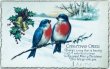 画像1: Postcard　アンティークポストカード　クリスマス　小鳥　ロビン　ホーリー (1)