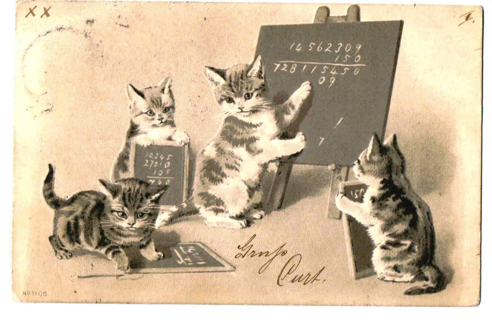 子猫の学校 算数のお勉強中 H Maguire Snowdrop Postcards アンティークカード専門店