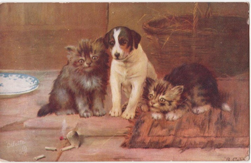 タバコの火を見つめる猫と犬 Snowdrop Postcards アンティークカード専門店