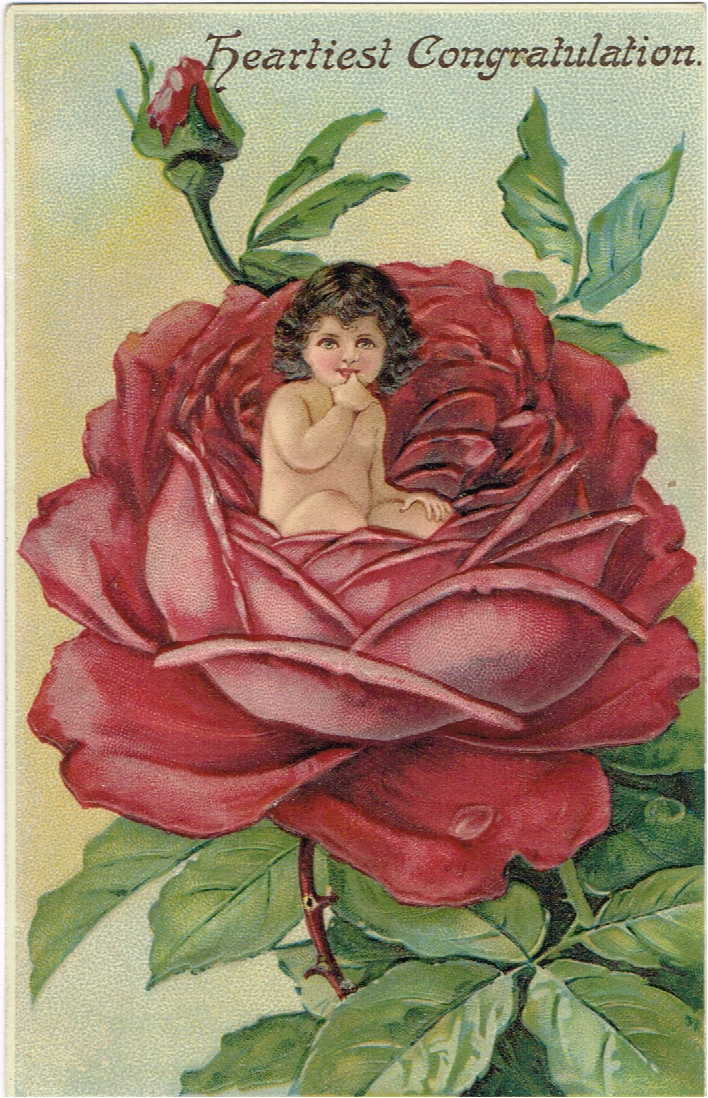 紙ものお取り置きフランスアンティークポストカード　貴婦人の手と薔薇の妖精たち