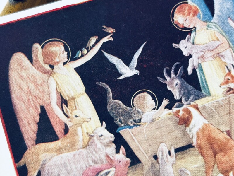 Postcard アンティークポストカード　祝福を受ける動物たち　天使　 by Margaret Tarrant　（未使用）